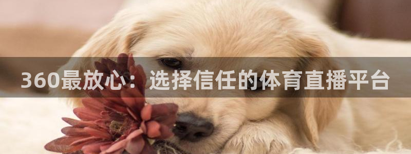 人人体育nba直播吧：360最放心：选择信任的体育直播平台