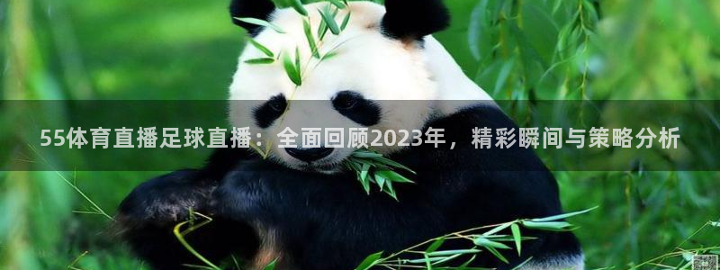 直播吧免费直播：55体育直播足球直播：全面回顾2023年，精彩瞬间与策略分析