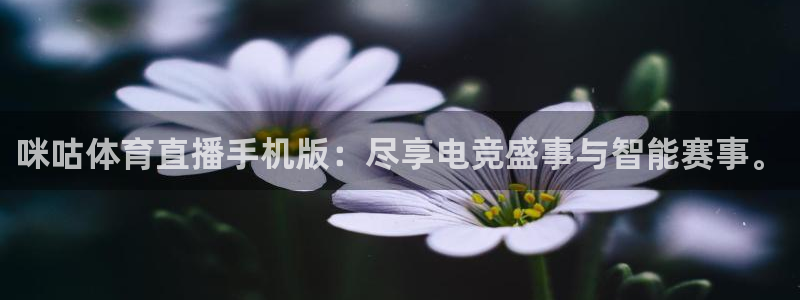 nba直播吧 王者体育：咪咕体育直播手机版：尽享电竞盛事与智能赛事。