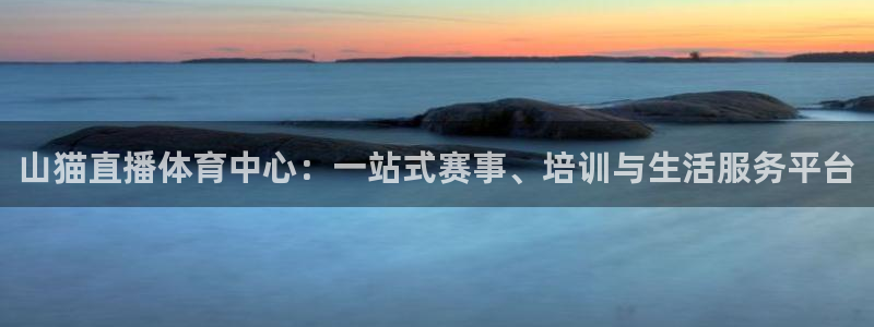 360足球直播吧直播间：山猫直播体育中心：一站式赛事、培训与生活服务平台