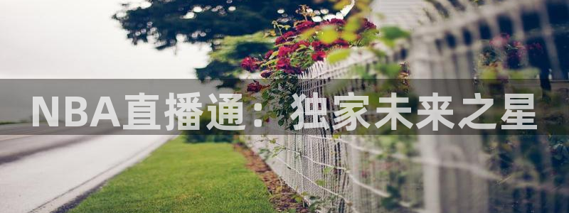 jrs英超直播吧：NBA直播通：独家未来之星
