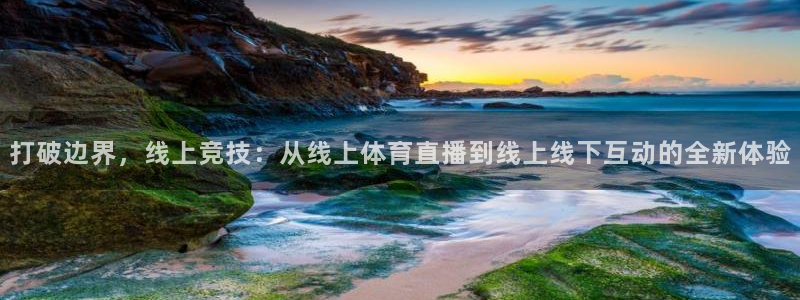体育网球直播吧：打破边界，线上竞技：从线上体育直播到线上线下互动的全新体验