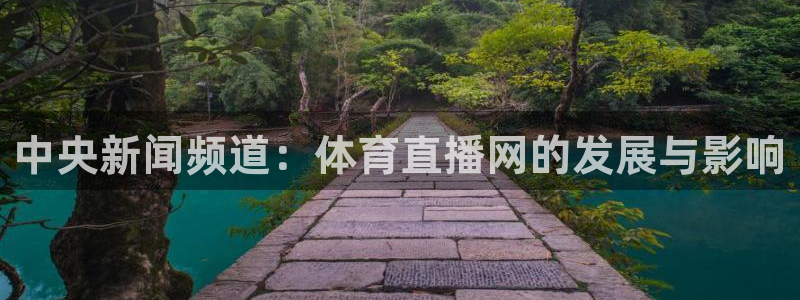 柠檬体育直播吧：中央新闻频道：体育直播网的发展与影响