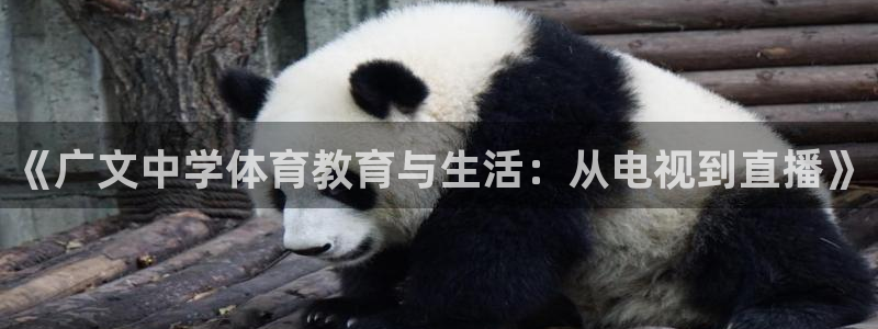 jrs直播吧回放：《广文中学体育教育与生活：从电视到直播》